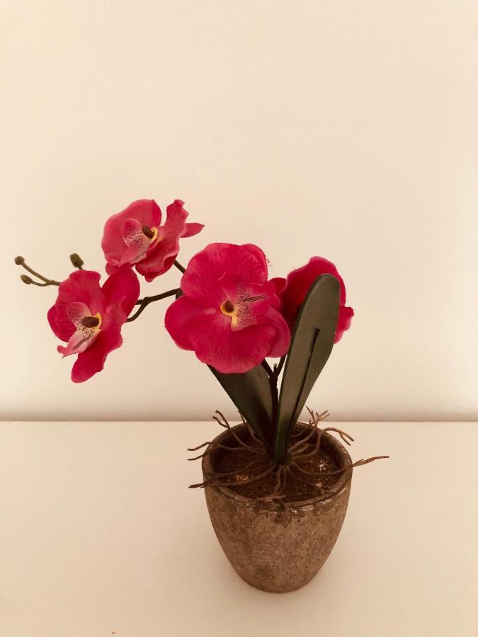Apartman S&m Apartment *